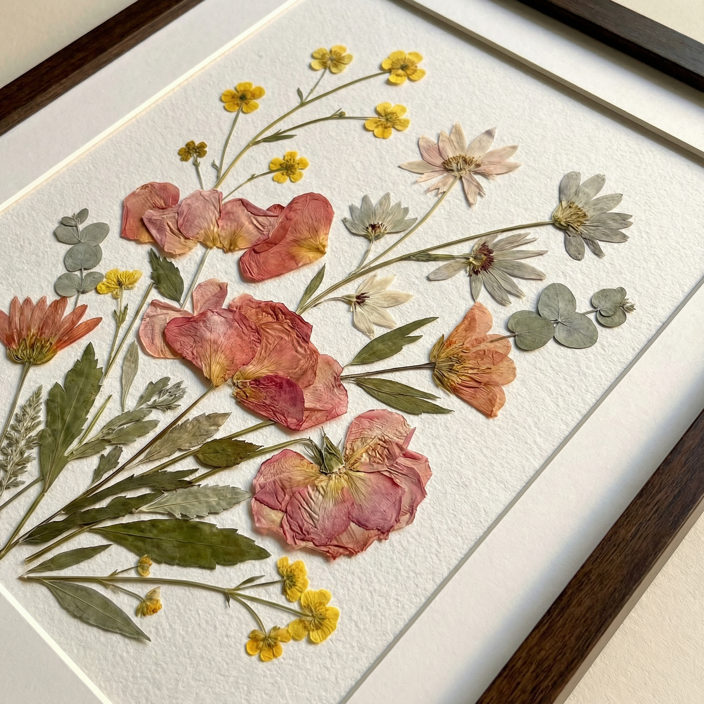 Collection Pétales de Prairie