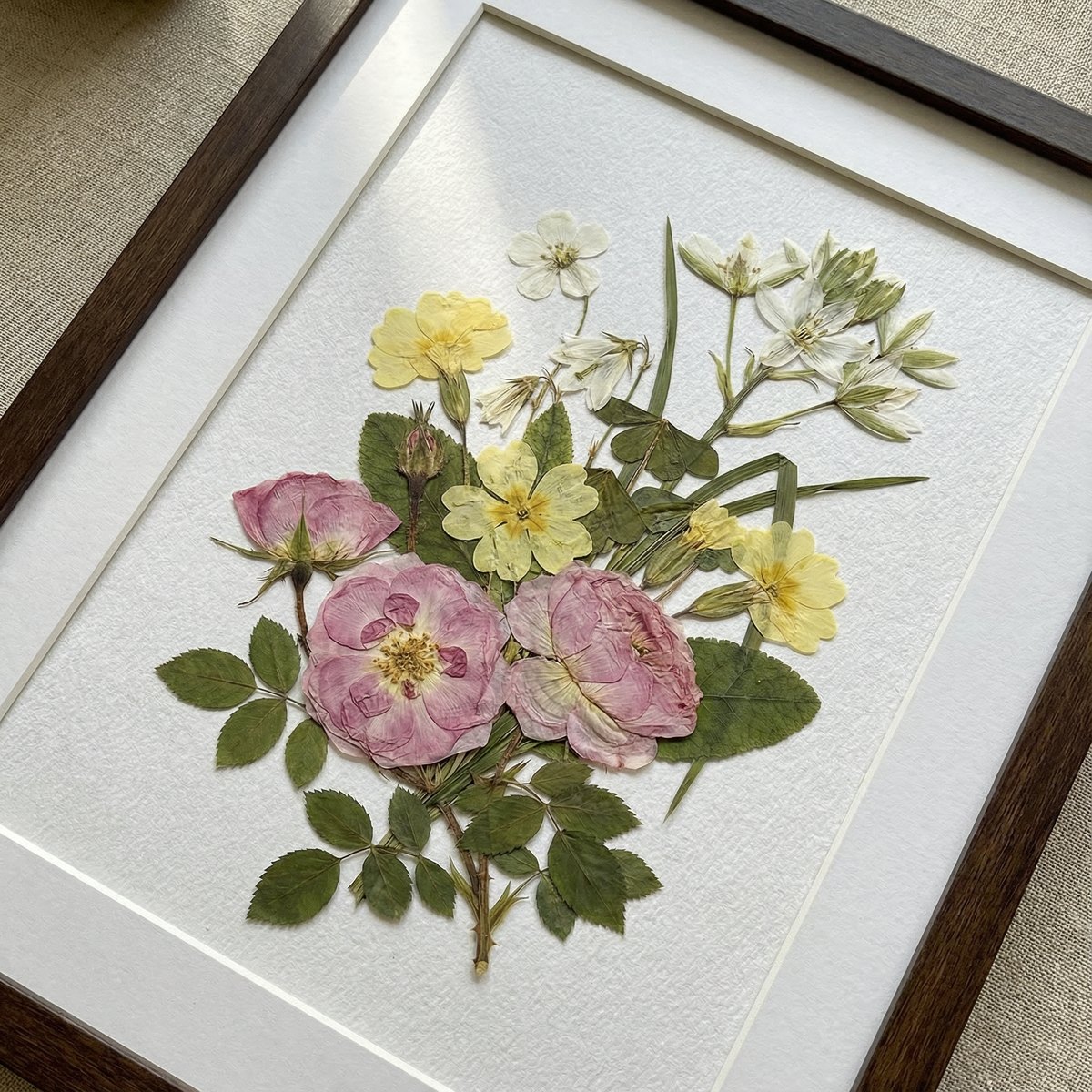 Mélodie de la rose de velours