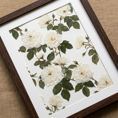 Harmonie des pétales blancs