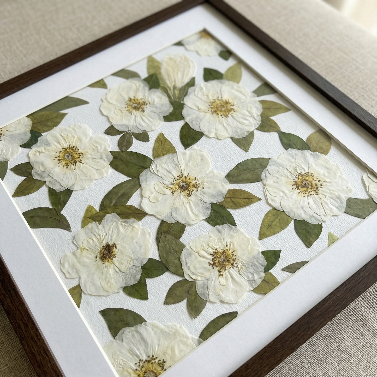 Jardin d'Ivoire Calme