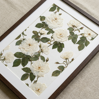 Harmonie des pétales blancs