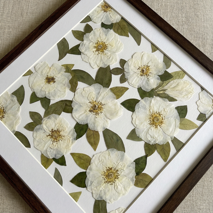 Jardin d'Ivoire Calme