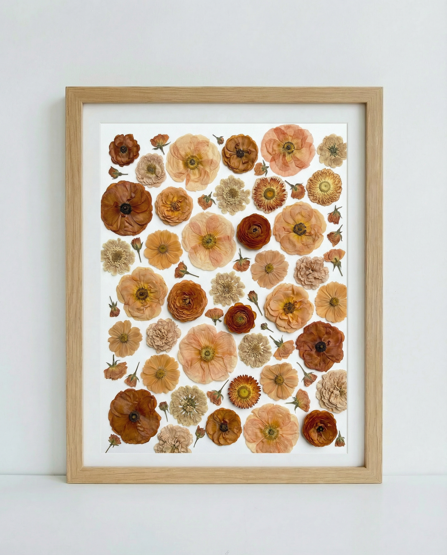 La collection Terracotta