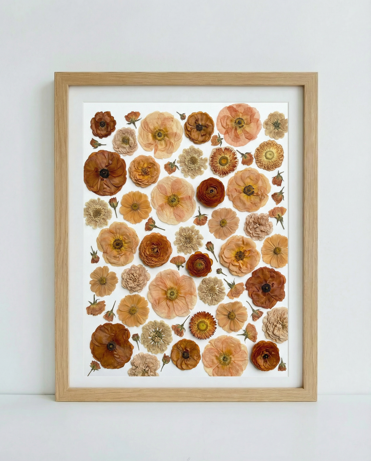 La collection Terracotta