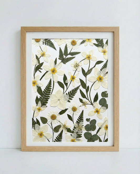 Champs de marguerites sauvages