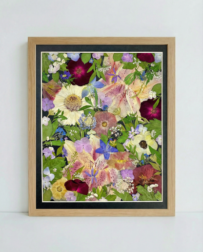 11 x 12,5 ÉTOILES ÉTINCELANTES