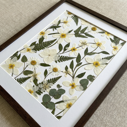 Champs de marguerites sauvages