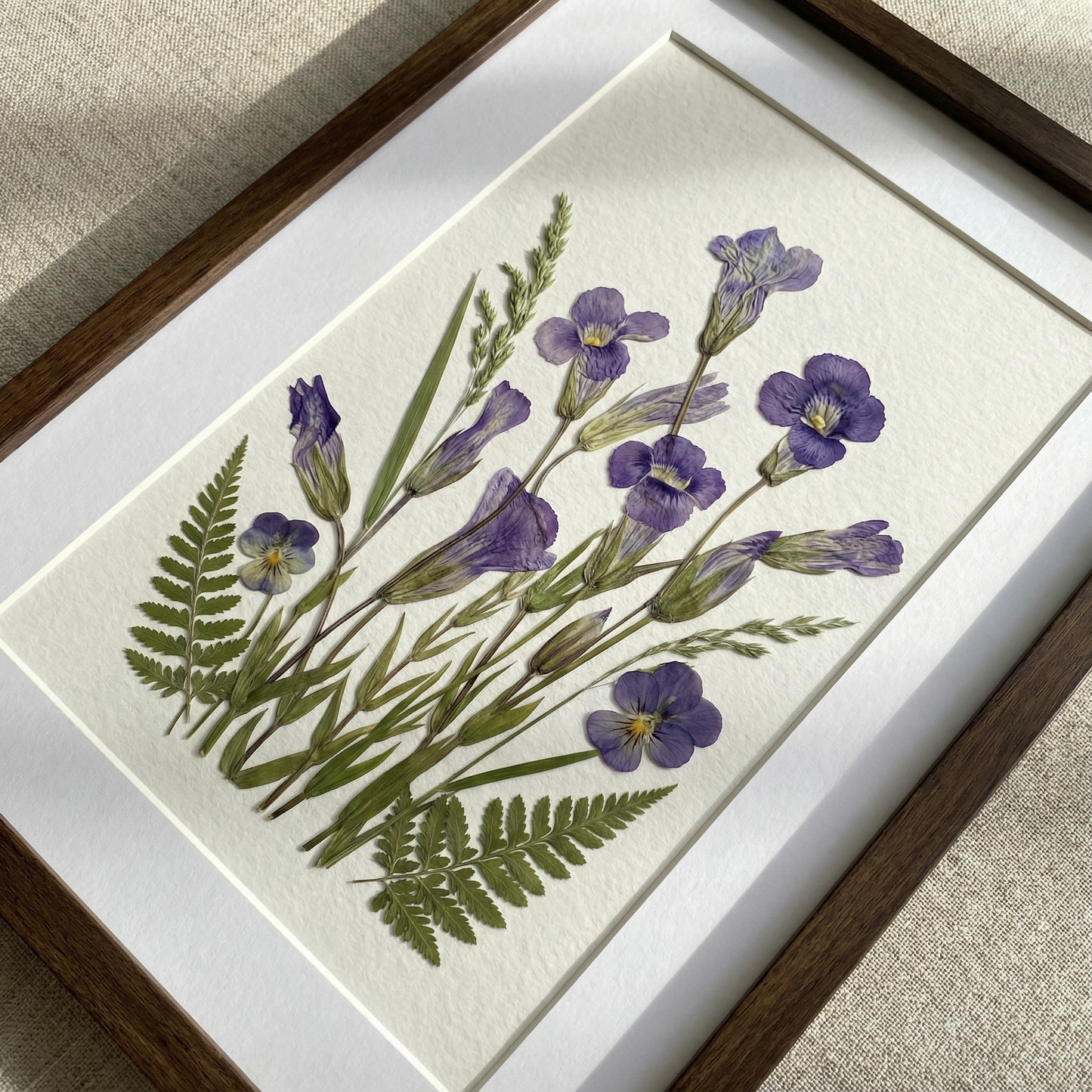 Sérénité de l'iris sauvage