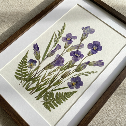 Sérénité de l'iris sauvage