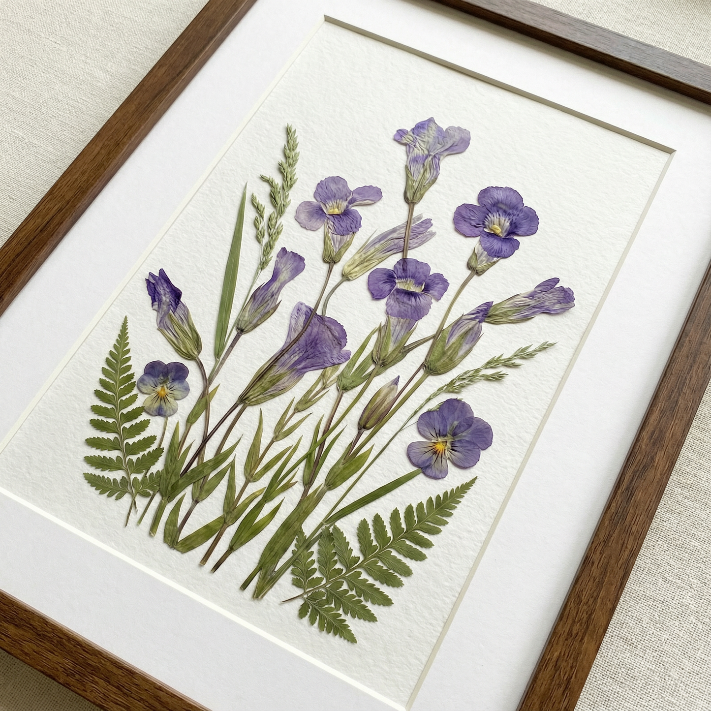 Sérénité de l'iris sauvage