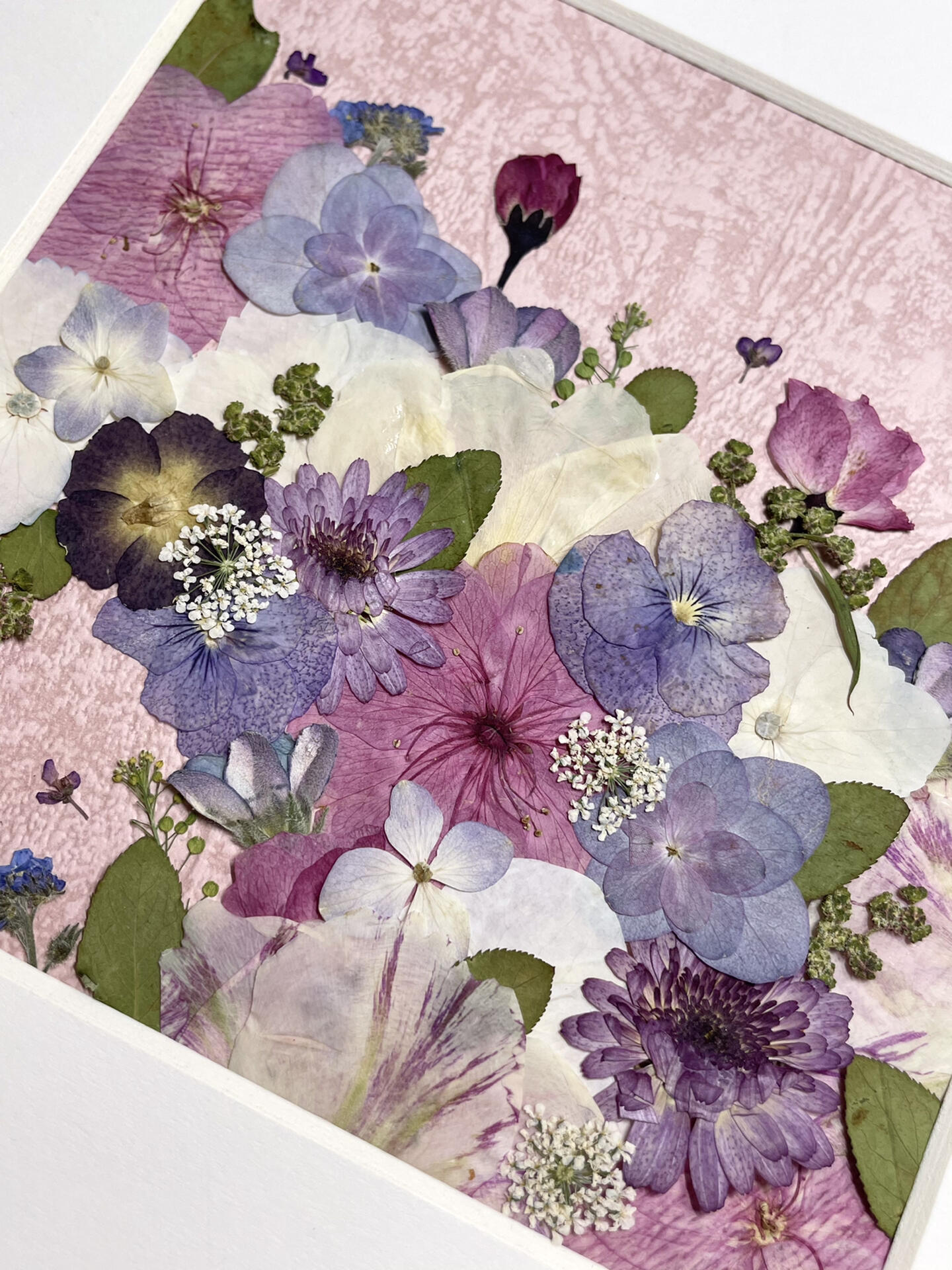 details of 10 inches width 10 inches height pressed flower frame art that has pink theme