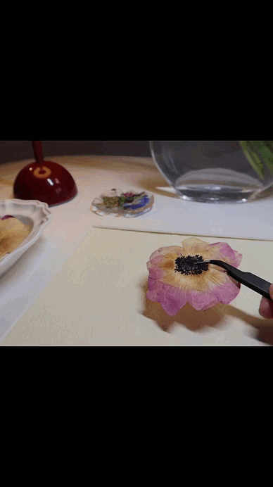 FLEURS - ROSES