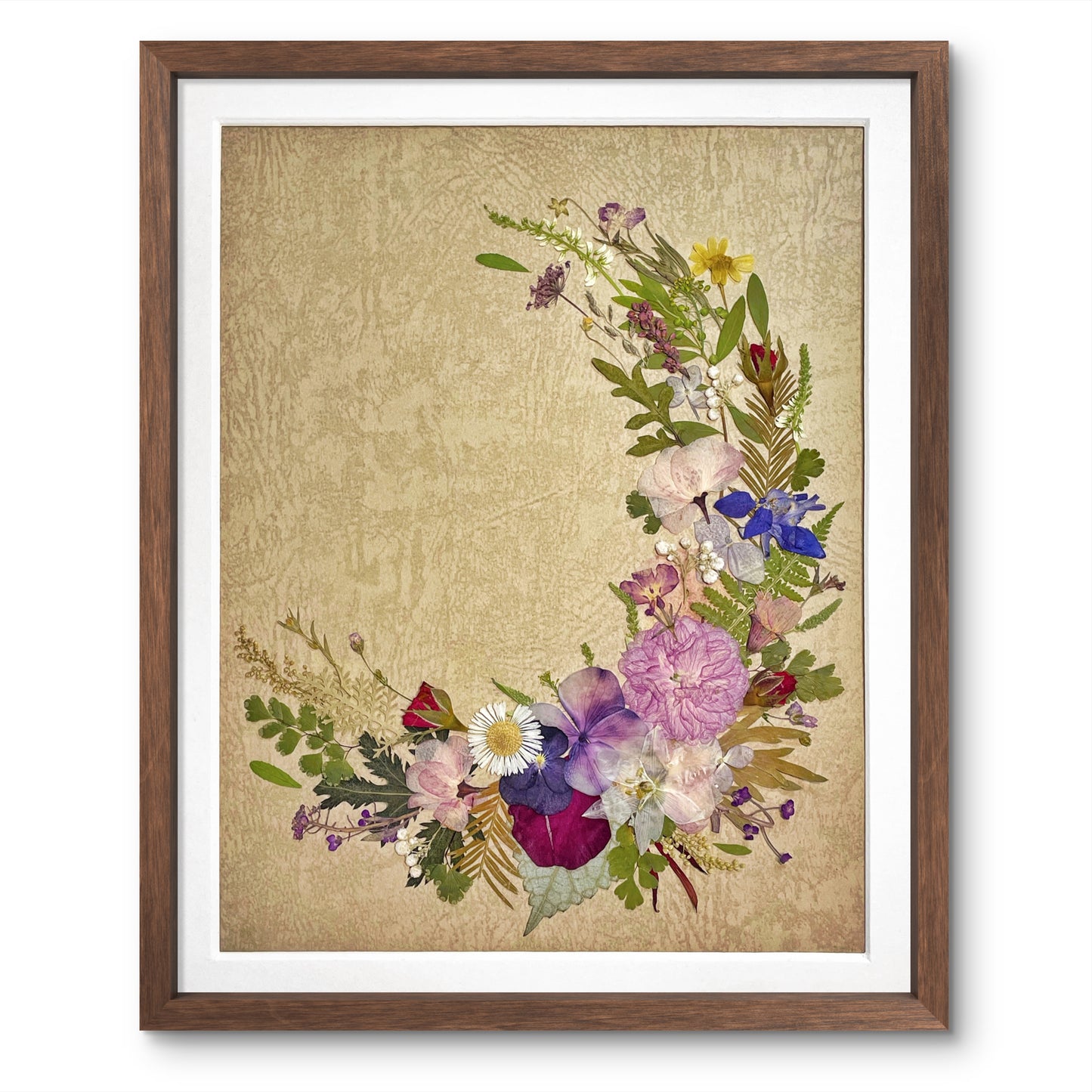 11 x 12,5 Pétales de la Lune