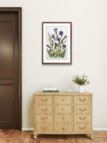 Sérénité de l'iris sauvage