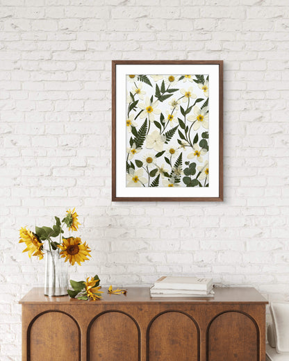 Champs de marguerites sauvages