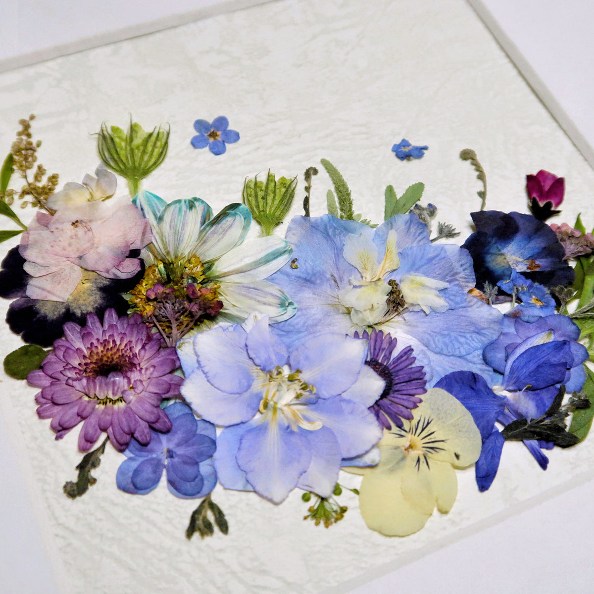 10 x 10 Brise bleue