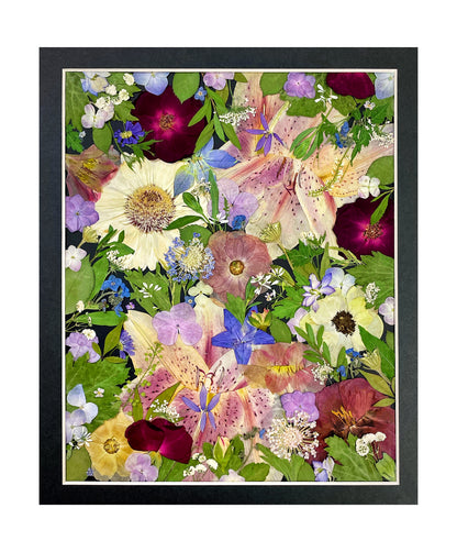 11 x 12,5 ÉTOILES ÉTINCELANTES