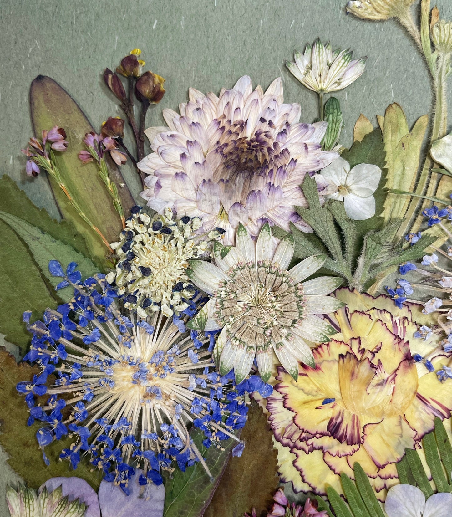 10 x 10 Brise nocturne d'été