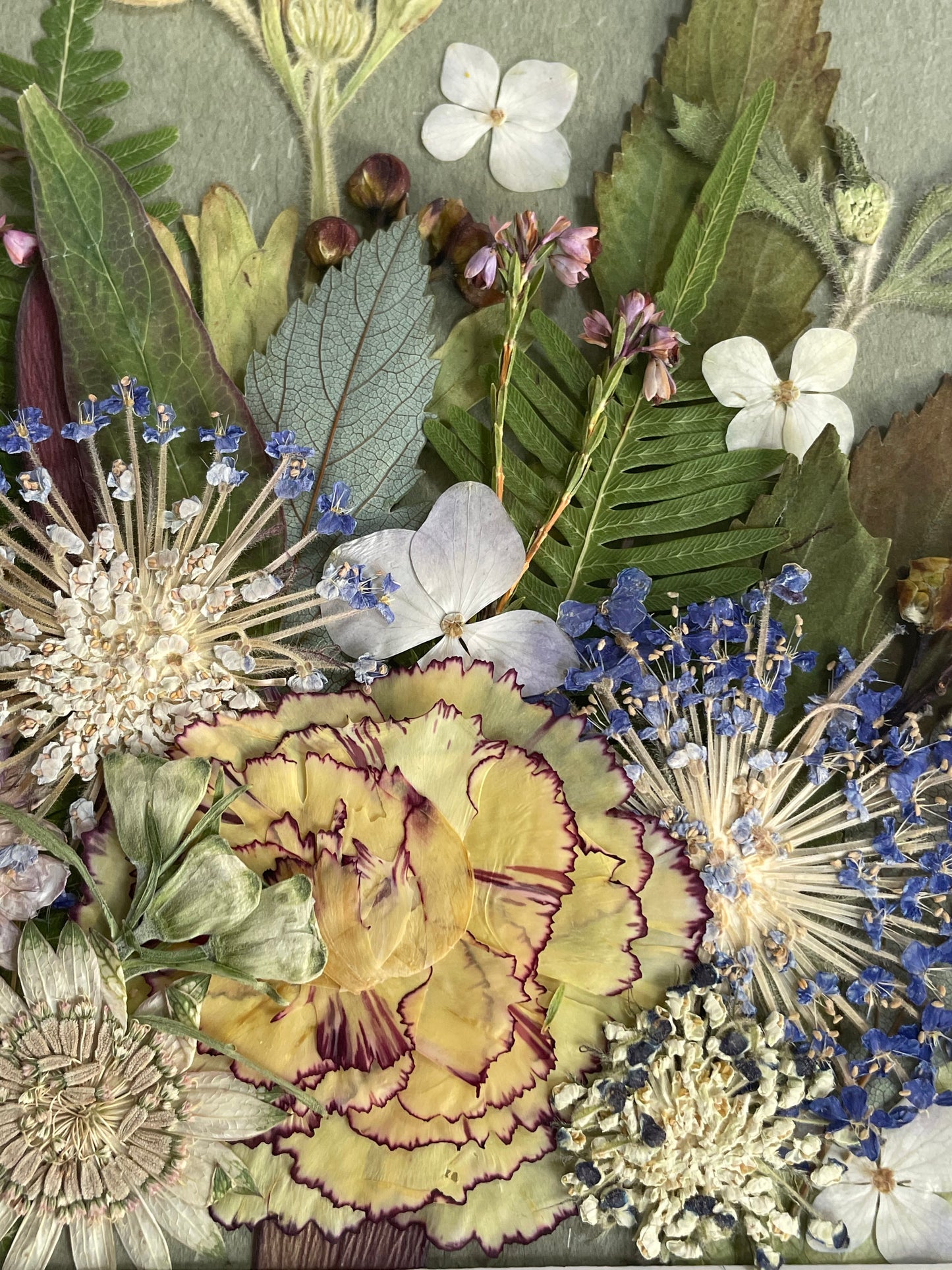 10 x 10 Brise nocturne d'été