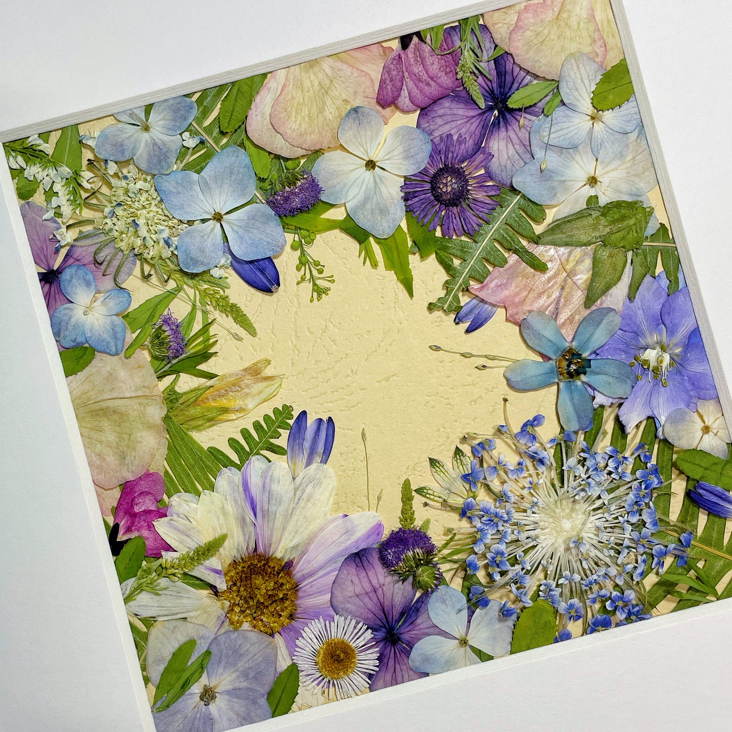 Jardin ensoleillé de 10 x 10