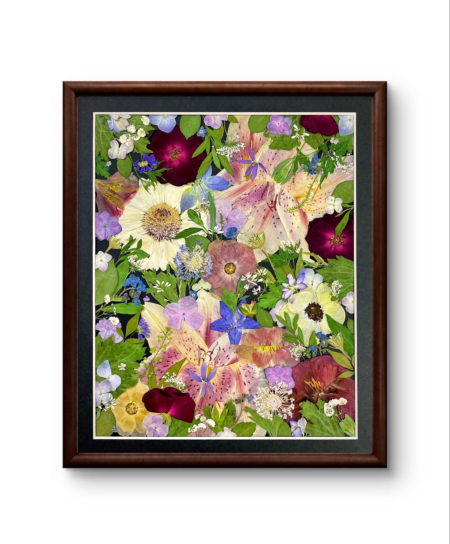 11 x 12,5 ÉTOILES ÉTINCELANTES