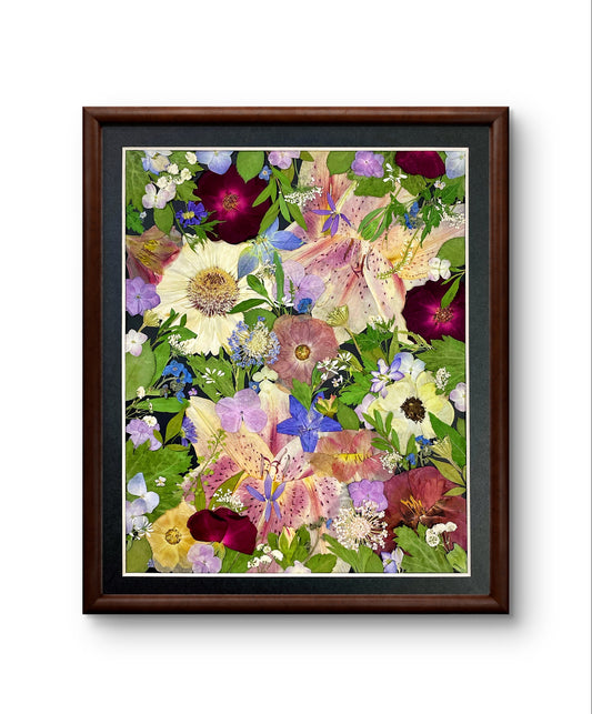 11 x 12,5 ÉTOILES ÉTINCELANTES