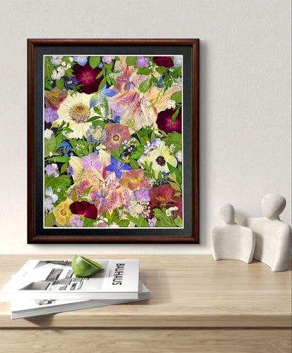 11 x 12,5 ÉTOILES ÉTINCELANTES