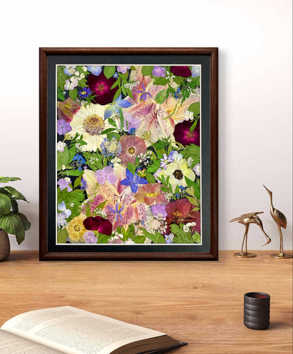 11 x 12,5 ÉTOILES ÉTINCELANTES