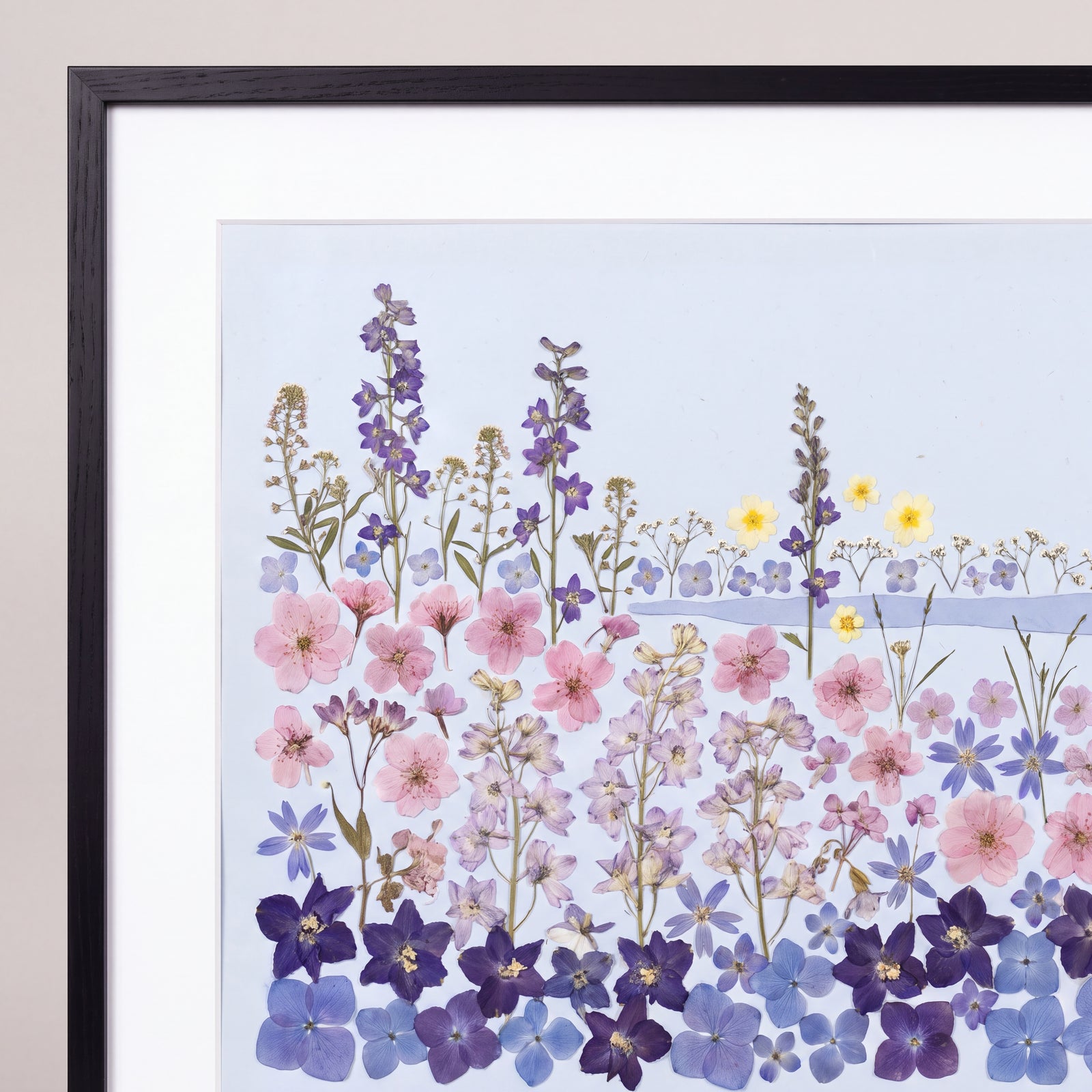 Lakeside Wildflower Meadow