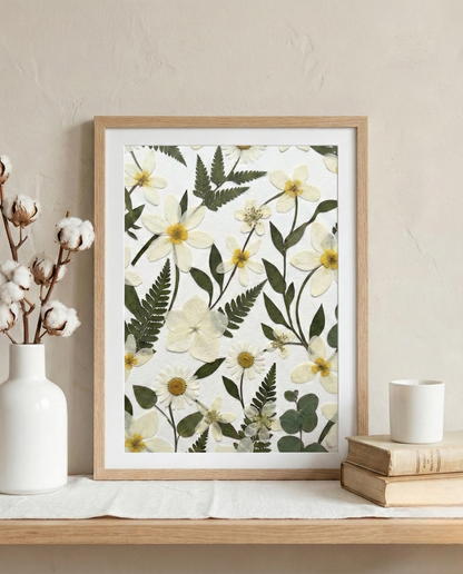 Champs de marguerites sauvages