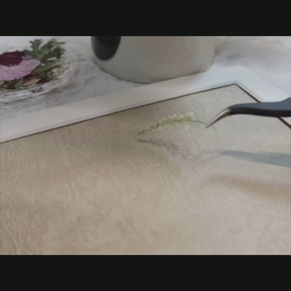 11 x 12,5 Pétales de la Lune