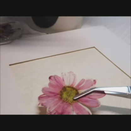 10 x 10 Murmures du printemps