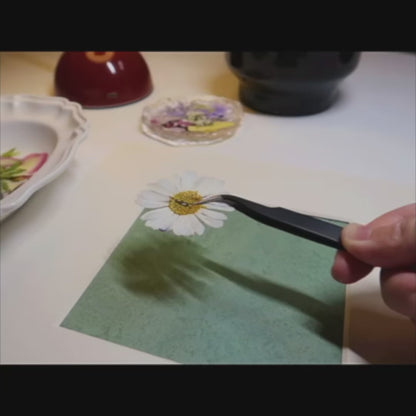 Rêverie de jardin 10 x 10