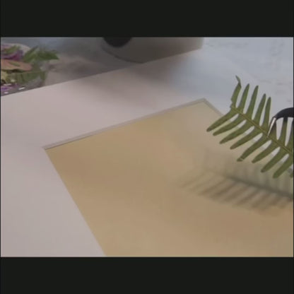 Jardin ensoleillé de 10 x 10