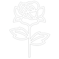 Nous entamons le processus botanique